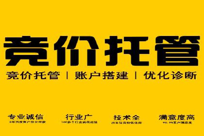 网络营销实战：成功竞价推广案例分析