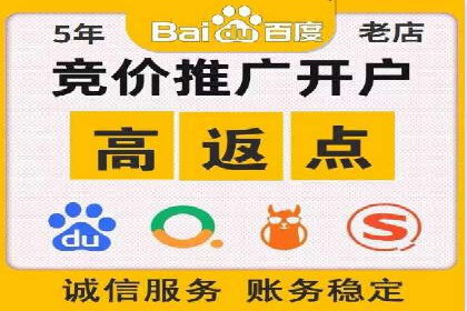 百度推广案例：成功打造行业领军品牌